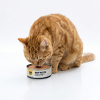 Simplify mealtime for your multi-cat household with Golden Bowl. Our 600g supply (6x100g pots) is dinner sorted without the hassle of opening multiple tiny cans. Featuring a 5-meat blend of Beef, Duck, and Rabbit with Green-Lipped Mussels, it’s the ultimate raw-inspired recipe. Generate less waste and save time while providing complete, premium nutrition. Just scoop and serve!