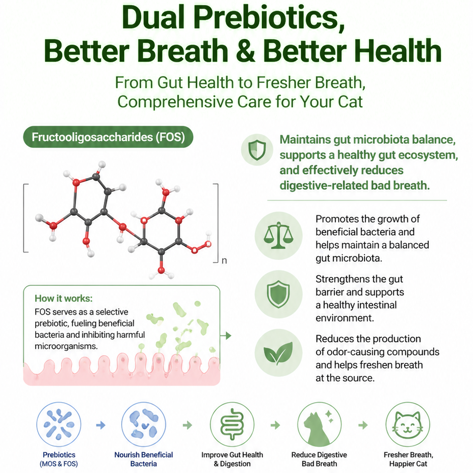 Infographic explaining the second prebiotic in Golden Bowl Dental Care treats: Fructooligosaccharides, or FOS. FOS selectively feeds beneficial bacteria and inhibits harmful microorganisms, maintaining a balanced gut microbiota. The infographic walks through how this reduces odor-causing compounds in the gut, leading to fresher breath naturally. The final summary shows the full pathway: prebiotics nourish good bacteria, improve gut health and digestion, reduce digestive bad breath, and result in a happier c