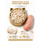 Golden Bowl Dental Care freeze-dried raw cat treats 100g bag standing upright. Label confirms the product is a natural dental care solution for clean teeth and fresh breath. The bag design is clean and minimal with the Golden Bowl brand mark clearly visible.