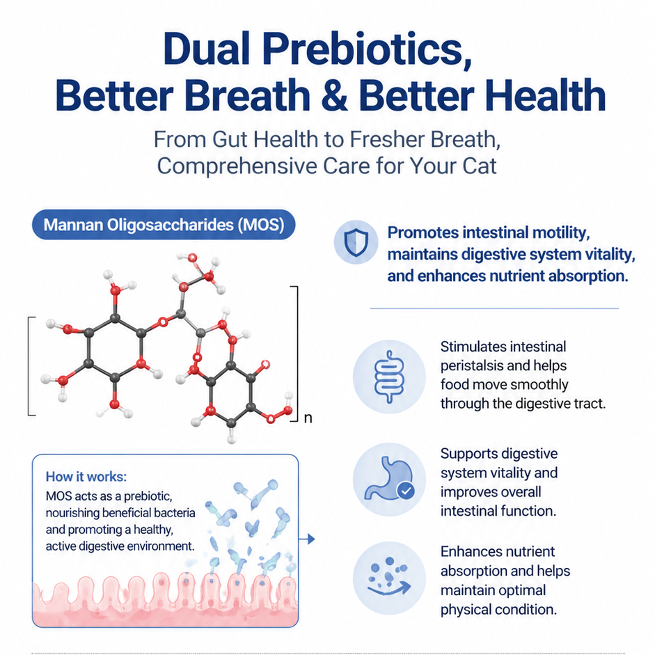 Infographic explaining the first prebiotic in Golden Bowl Dental Care treats: Mannan Oligosaccharides, or MOS. MOS nourishes beneficial gut bacteria, promotes intestinal motility, helps food move smoothly through the digestive tract, and enhances nutrient absorption. The graphic shows how MOS supports overall digestive vitality as part of the dual prebiotic system that addresses bad breath at its gut source.